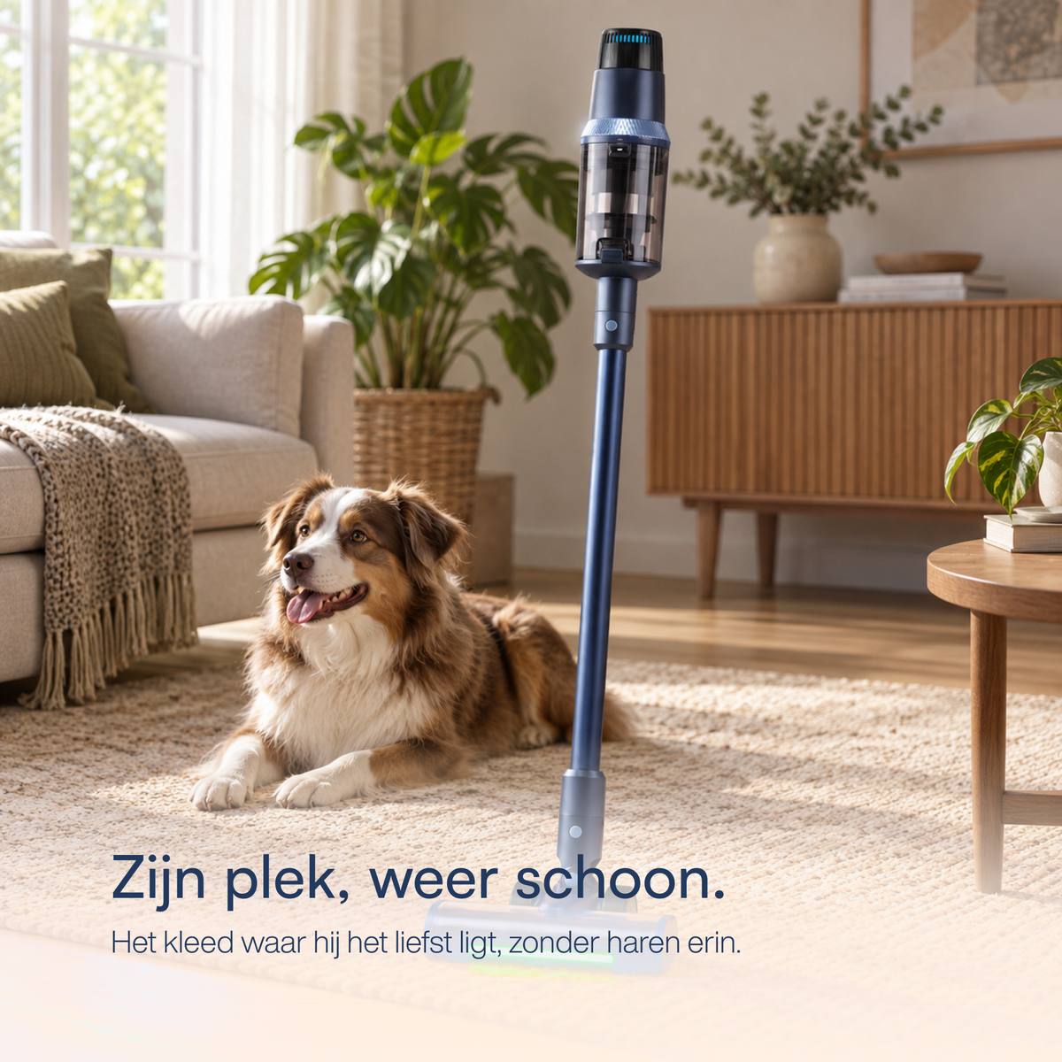 Steelstofzuiger CleanDetect