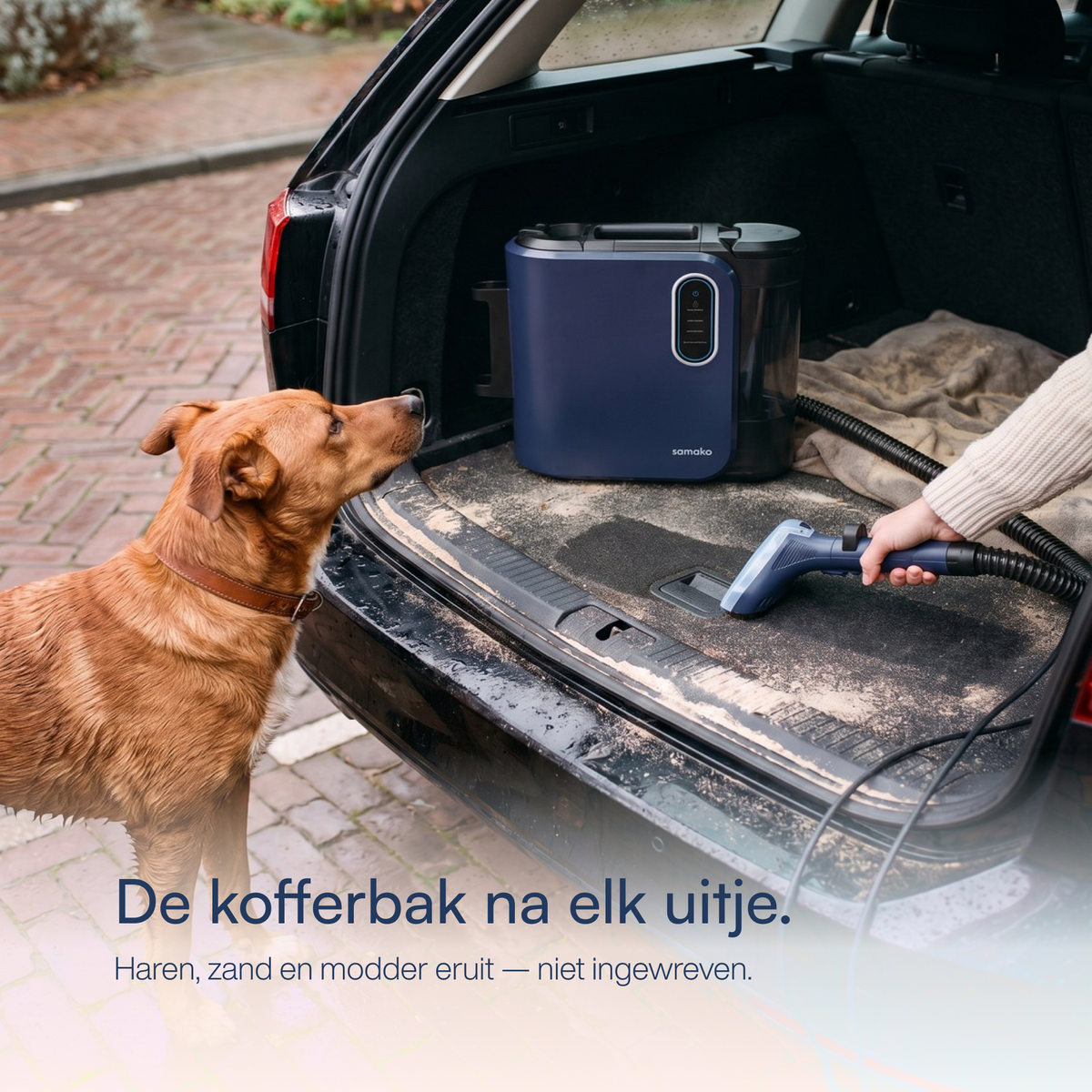 Spot Cleaner PowerClean Pro