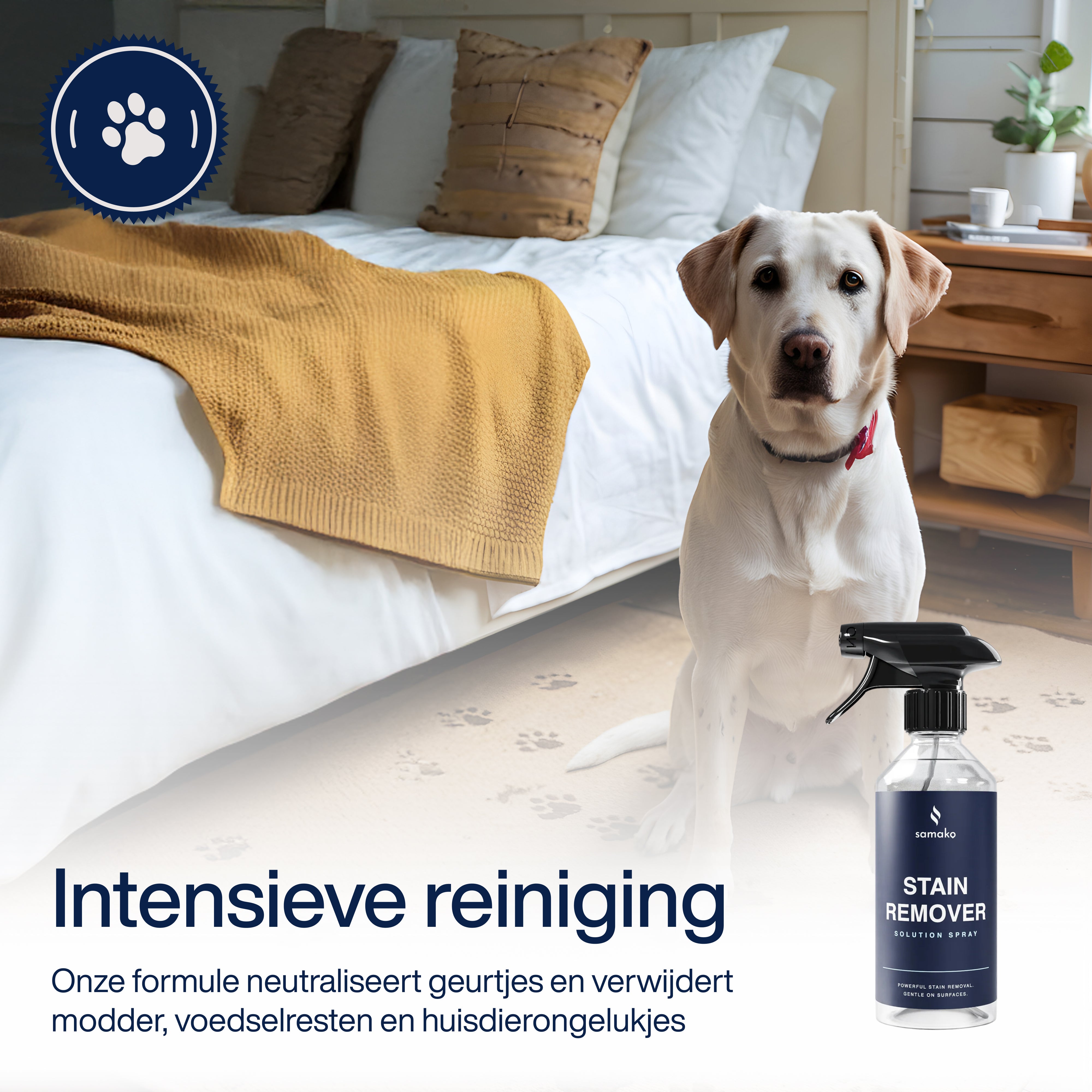 Stain Remover Solution Spray