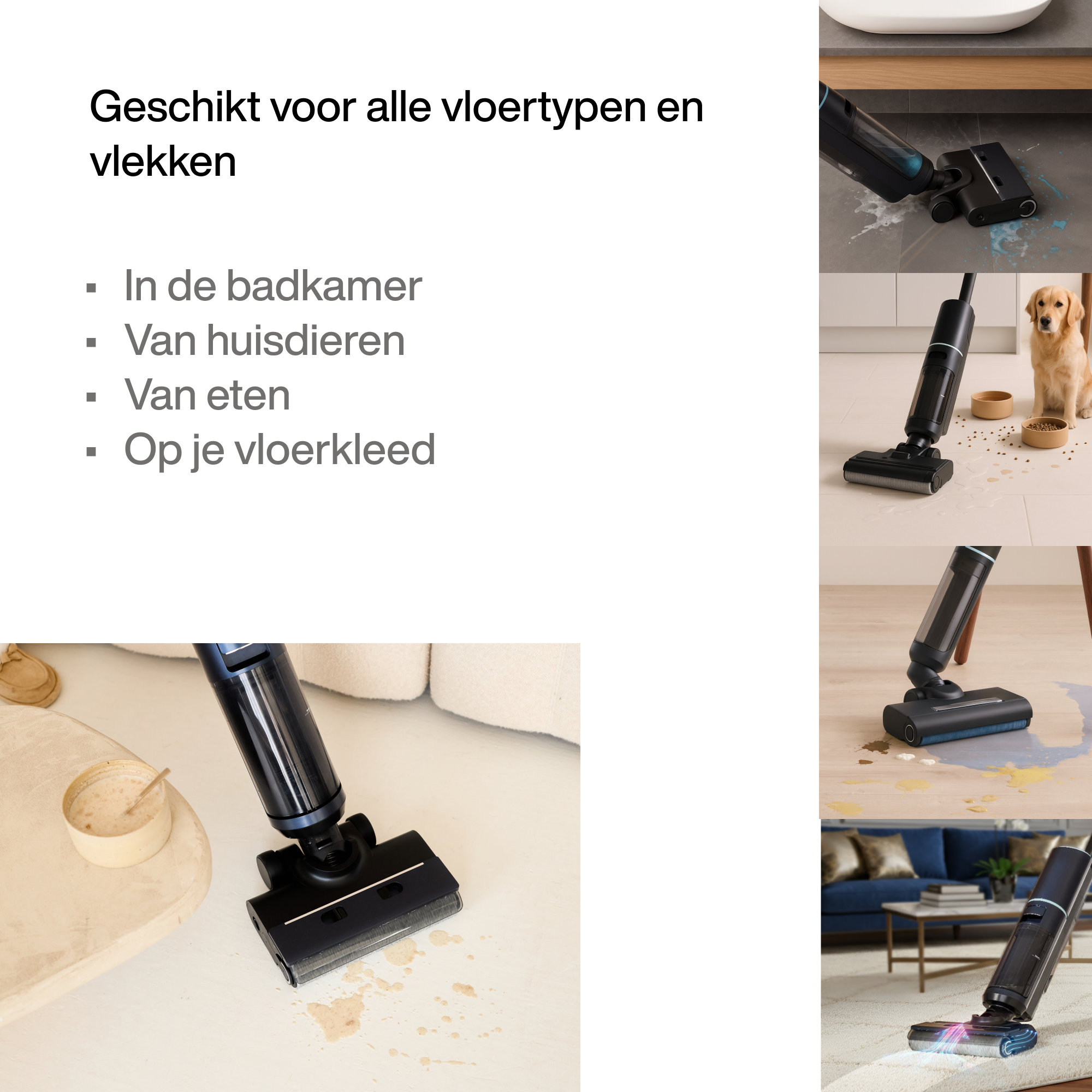 Aqualis S1 Wischstaubsauger