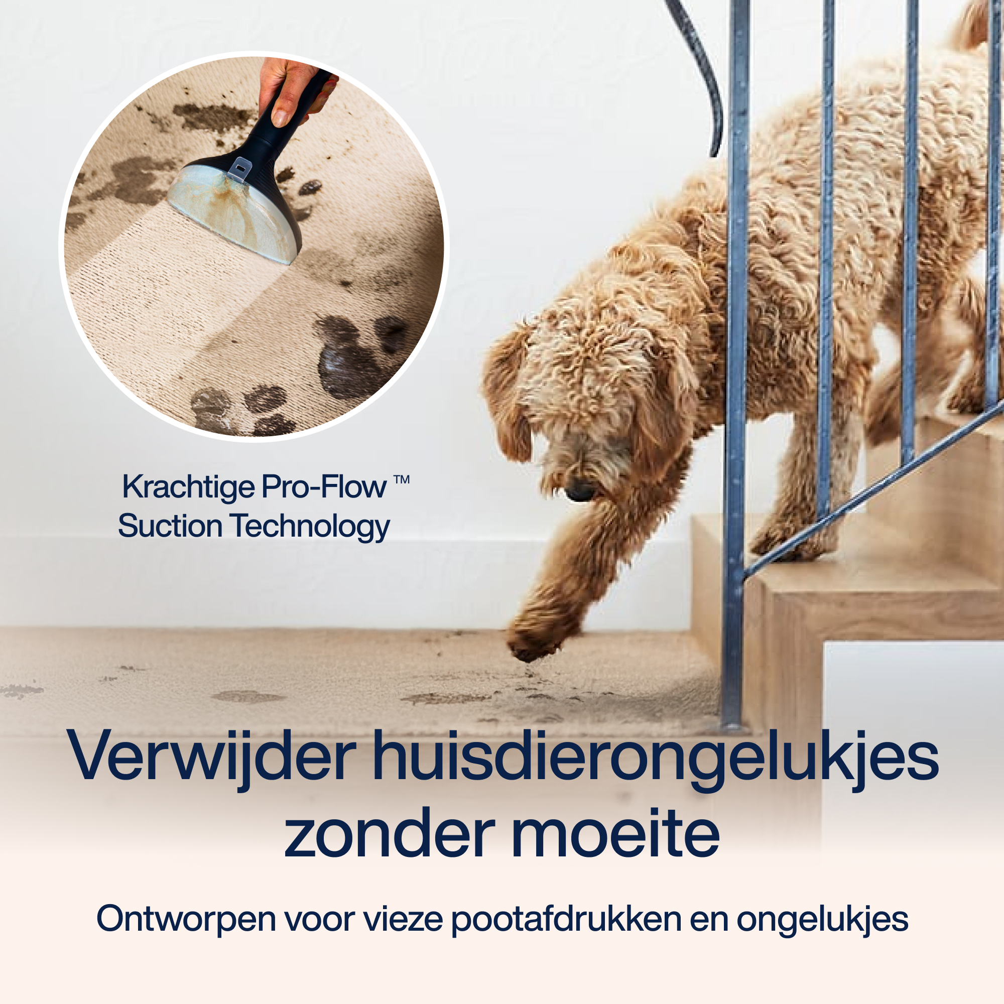 Stain remover PowerClean Pro - Steam & Hot water