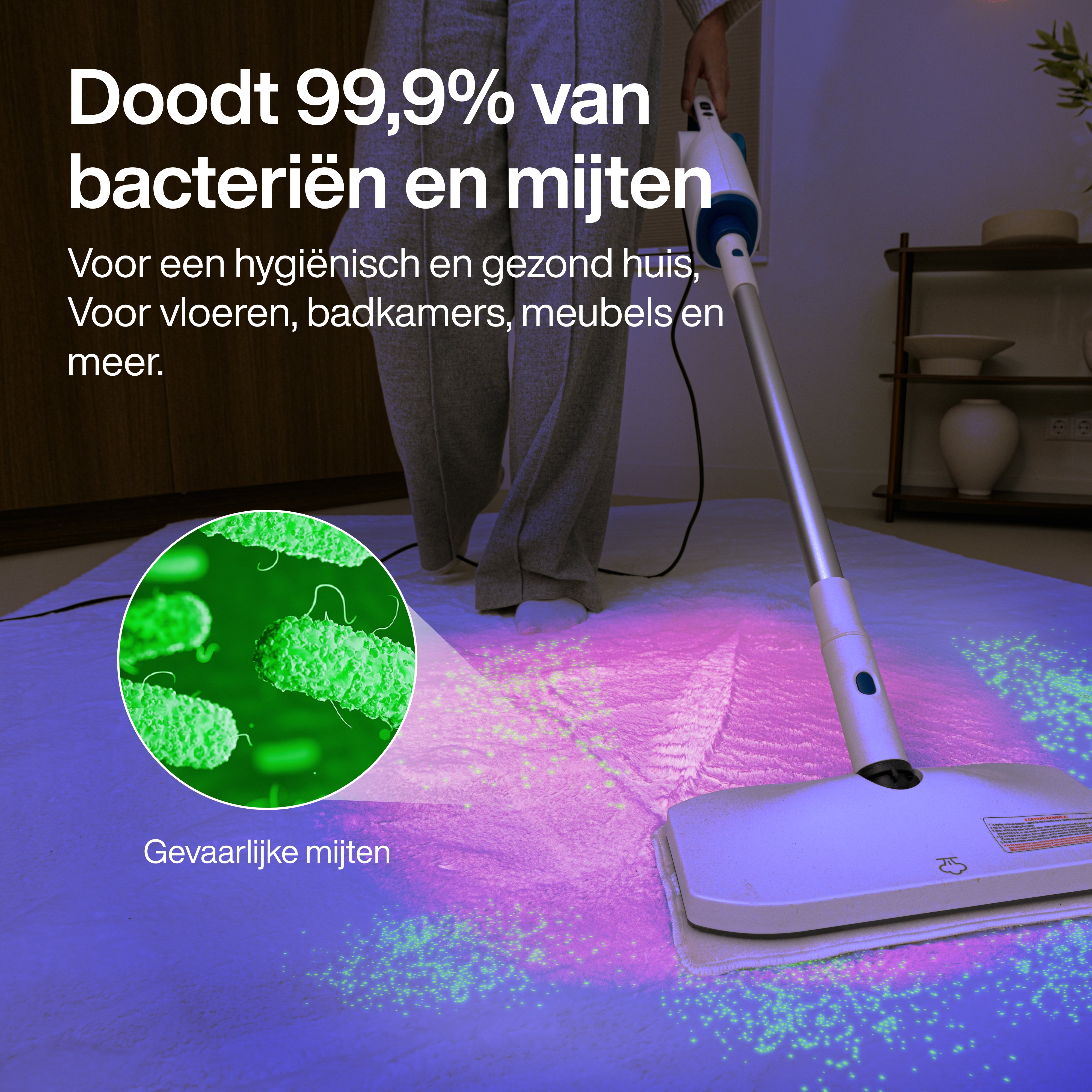 Steam cleaner Royal Elite