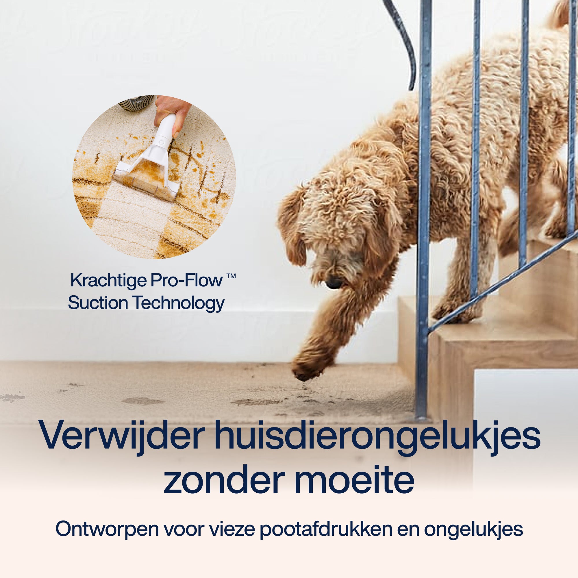 Stain cleaner PowerClean