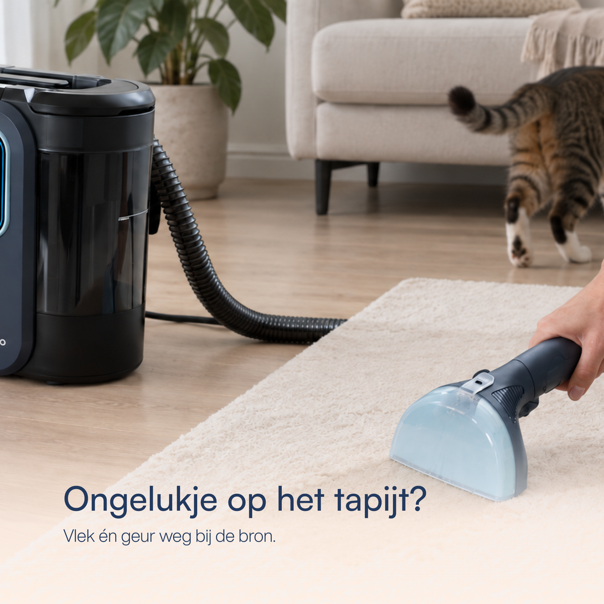 Pet bundle