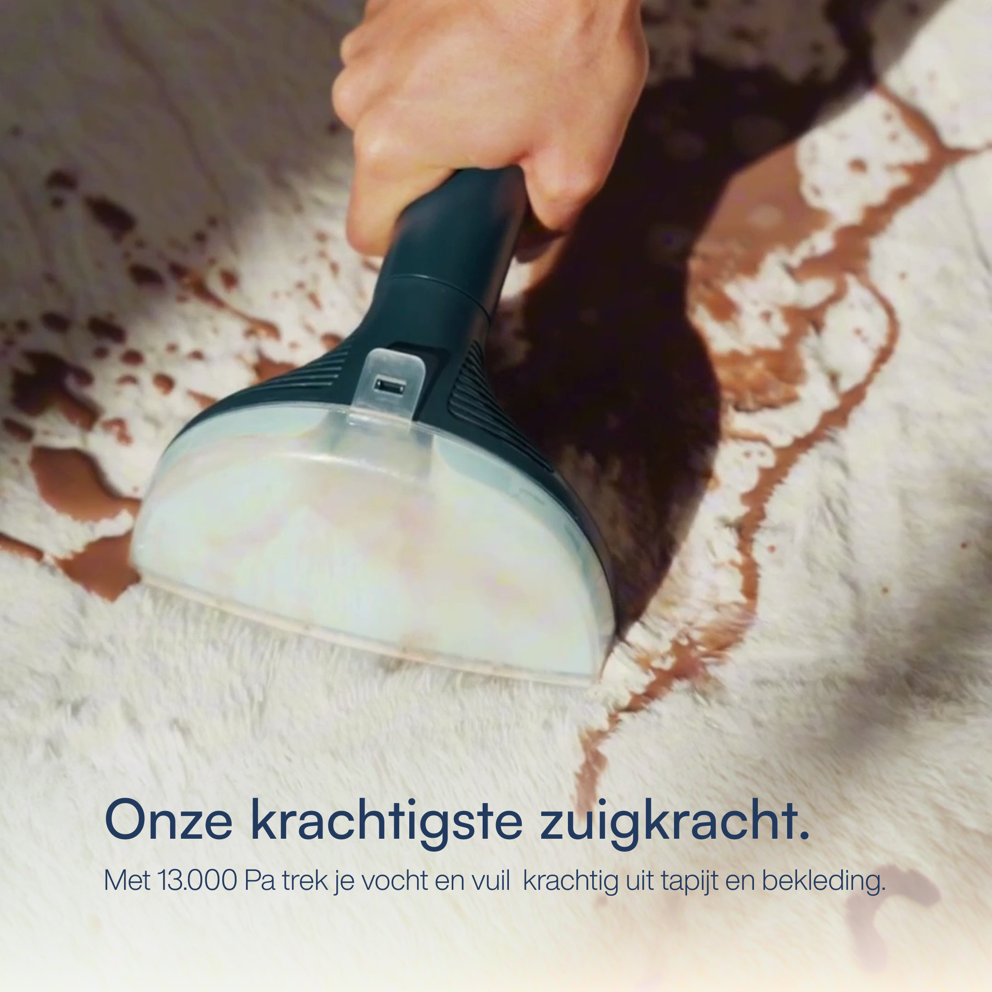 Vlekkenreiniger PowerClean Pro