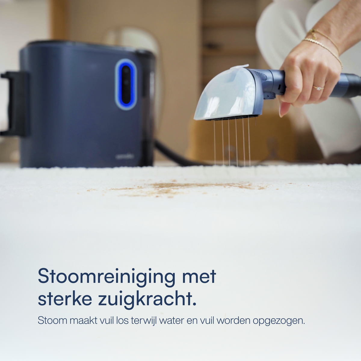 Fleckenreiniger PowerClean Pro