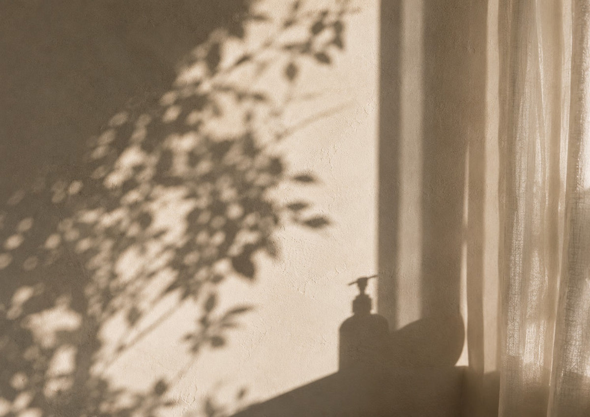Morning light on a wall beside a soap dispenser